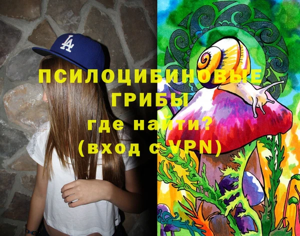 герыч Алексин