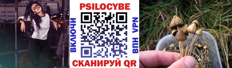 Псилоцибиновые грибы Cubensis  Сосновка 