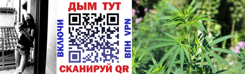 Бошки марихуана планчик  где можно купить наркотик  Сосновка 